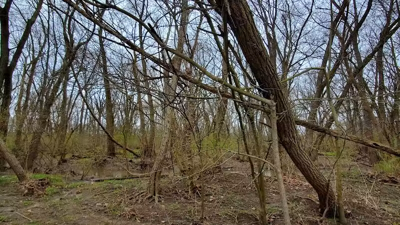 Pleasant Valley Area - Battelle Darby Creek Park - Orient, OH