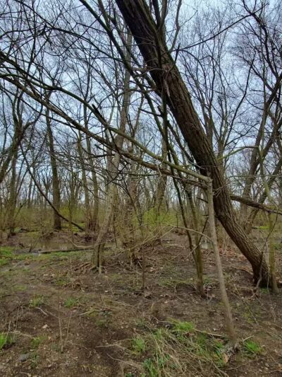 Pleasant Valley Area - Battelle Darby Creek Park - Orient, OH