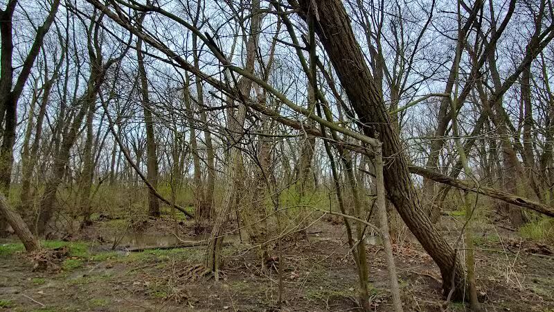 Pleasant Valley Area - Battelle Darby Creek Park - Orient, OH
