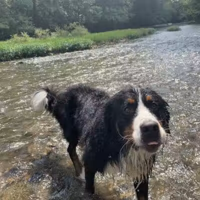 Pleasant Valley Area - Battelle Darby Creek Park - Orient, OH