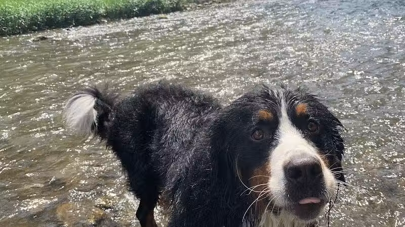 Pleasant Valley Area - Battelle Darby Creek Park - Orient, OH