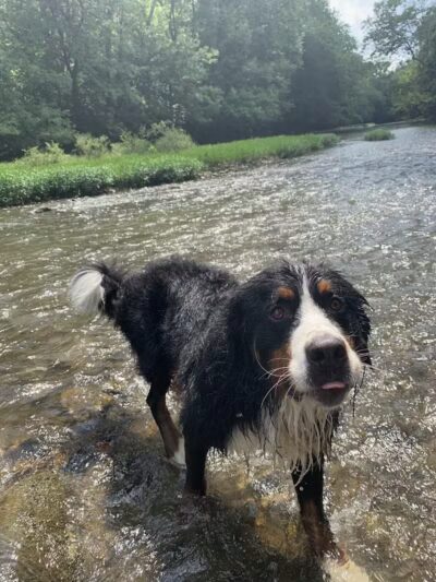 Pleasant Valley Area - Battelle Darby Creek Park - Orient, OH