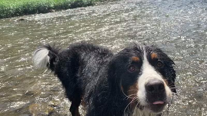 Pleasant Valley Area - Battelle Darby Creek Park - Orient, OH