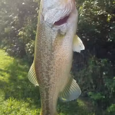 Pleasant Valley Area - Battelle Darby Creek Park - Orient, OH