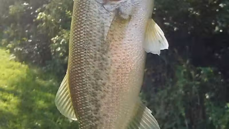 Pleasant Valley Area - Battelle Darby Creek Park - Orient, OH