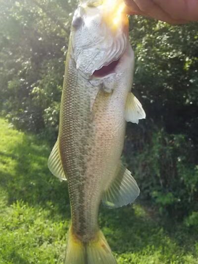 Pleasant Valley Area - Battelle Darby Creek Park - Orient, OH