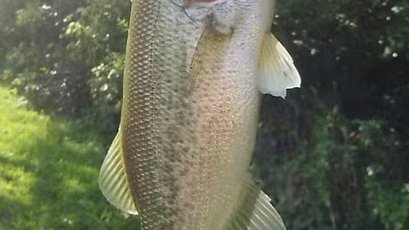 Pleasant Valley Area - Battelle Darby Creek Park - Orient, OH