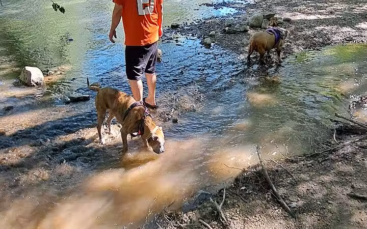 Pleasant Valley Area - Battelle Darby Creek Park - Orient, OH