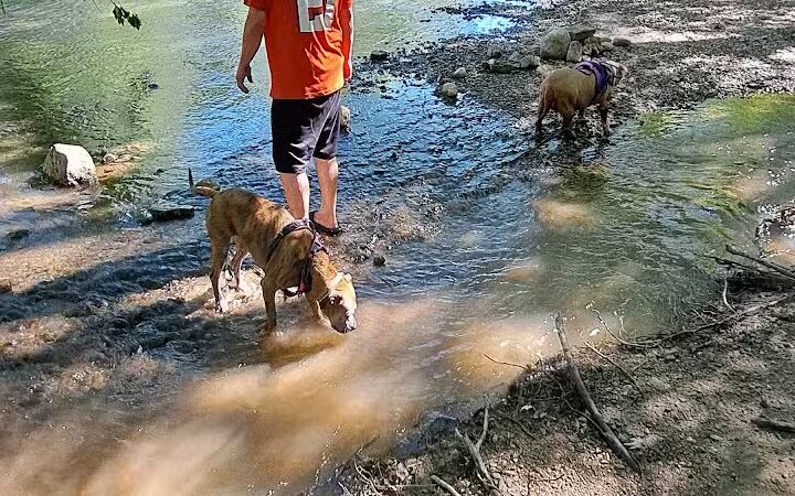 Pleasant Valley Area - Battelle Darby Creek Park - Orient, OH