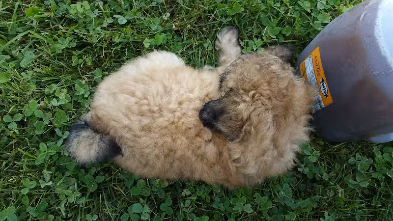 Orwell Community Park - Orwell, OH