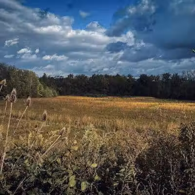 Blues Creek Park - Ostrander, OH