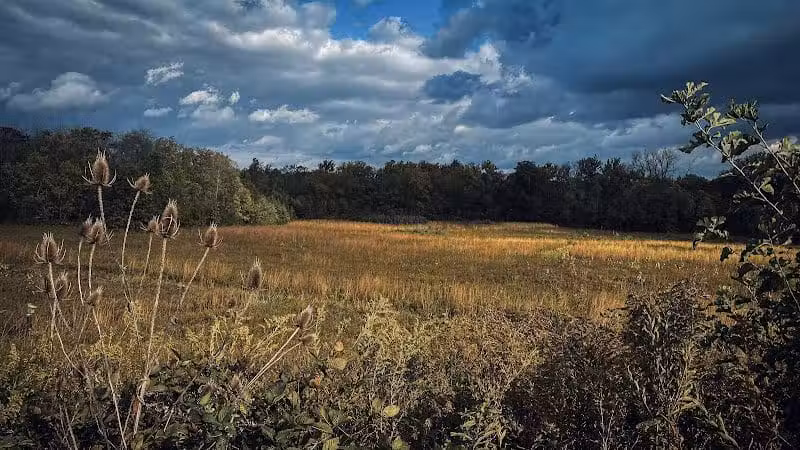 Blues Creek Park - Ostrander, OH