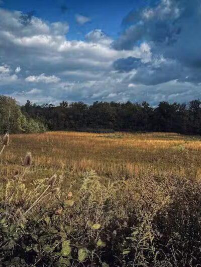 Blues Creek Park - Ostrander, OH
