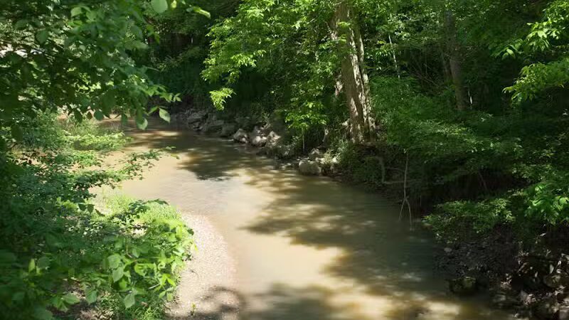 Blues Creek Park - Ostrander, OH
