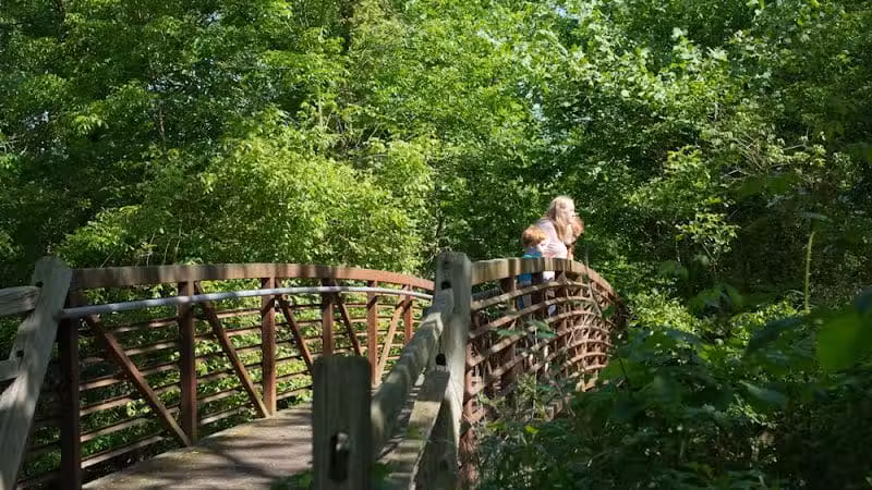 Blues Creek Park - Ostrander, OH