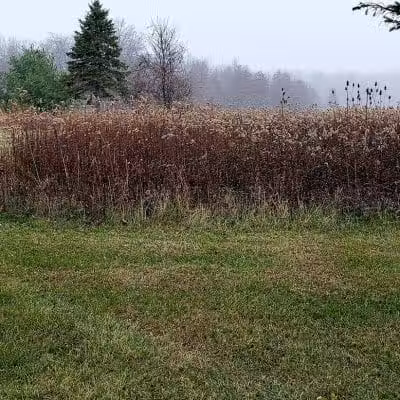 Blues Creek Park - Ostrander, OH