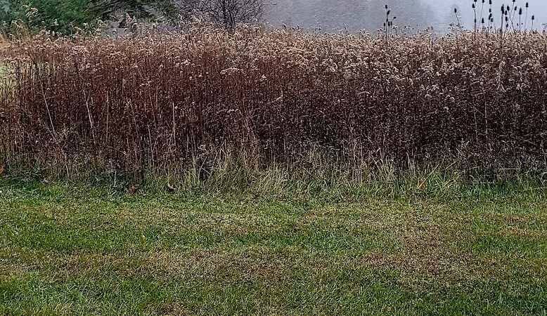 Blues Creek Park - Ostrander, OH