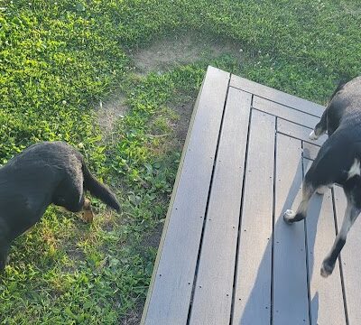 Northside Bark Dog Park - Oxford, OH