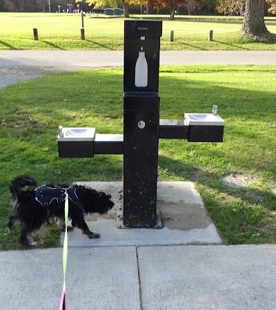 Painesville Rec Park Dog Park - Painesville, OH