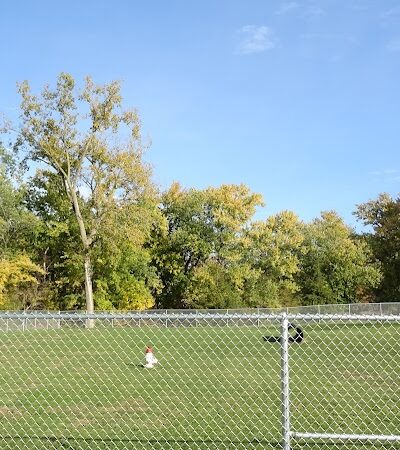 Painesville Rec Park Dog Park - Painesville, OH