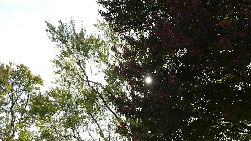 Painesville Rec Park Dog Park - Painesville, OH