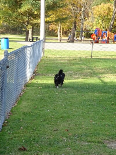 Painesville Rec Park Dog Park - Painesville, OH
