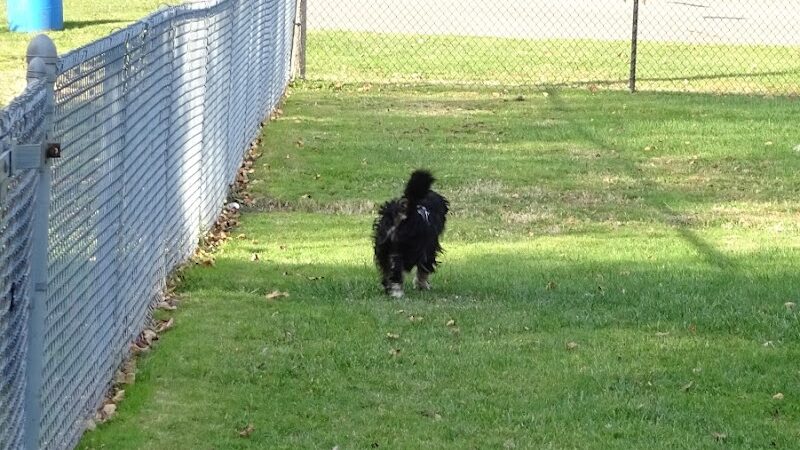 Painesville Rec Park Dog Park - Painesville, OH