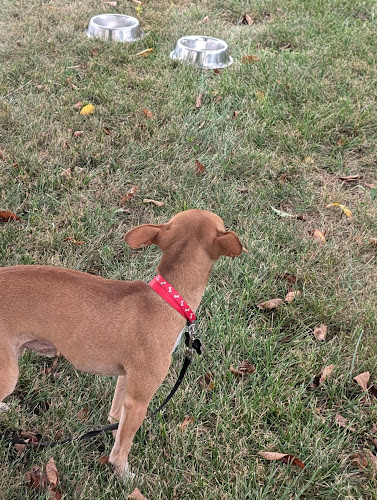 Pandora Park - Pandora, OH