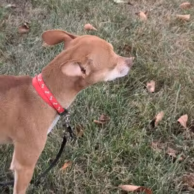 Pandora Park - Pandora, OH