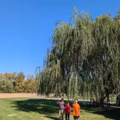 Pandora Park - Pandora, OH