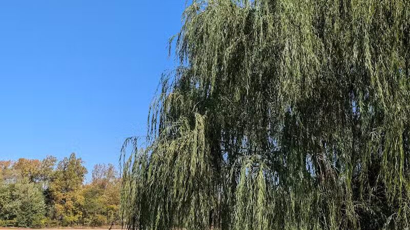 Pandora Park - Pandora, OH