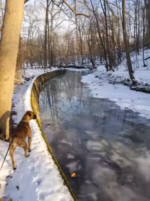 Snow Road Picnic Area - Parma Heights, OH