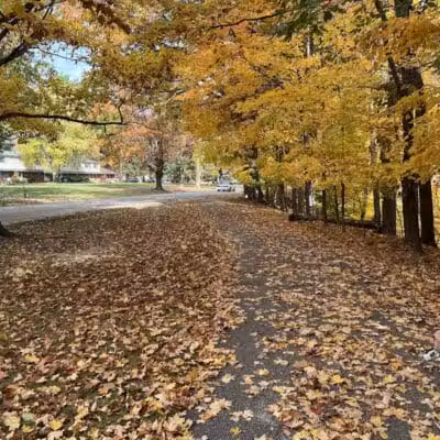 Big Creek Trail Parking - Parma Heights, OH