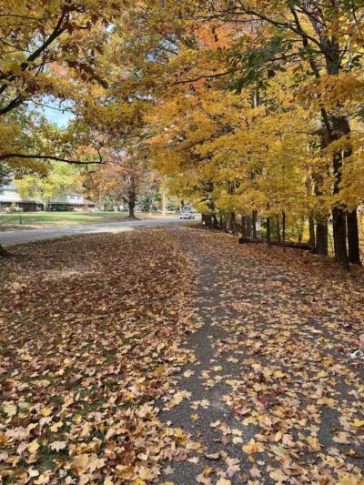 Big Creek Trail Parking - Parma Heights, OH