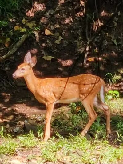 Big Creek Trail Parking - Parma Heights, OH