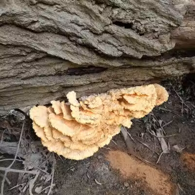 Big Creek Trail Parking - Parma Heights, OH