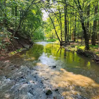 Big Creek Trail Parking - Parma Heights, OH