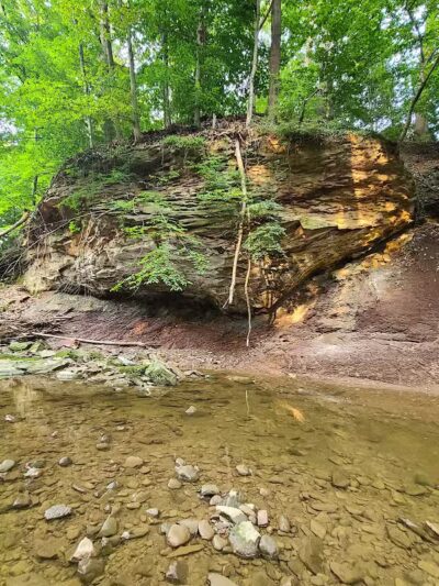 Big Creek Trail Parking - Parma Heights, OH