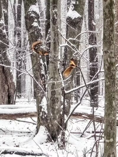 Big Creek Trail Parking - Parma Heights, OH