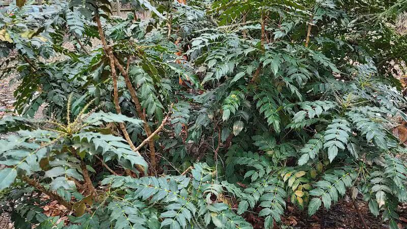 Colombo Park - Parma Heights, OH