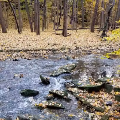 Commons Park - Parma Heights, OH