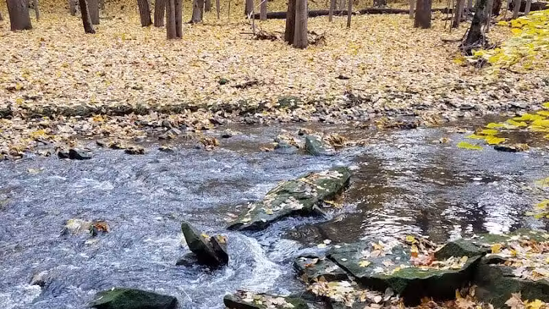 Commons Park - Parma Heights, OH