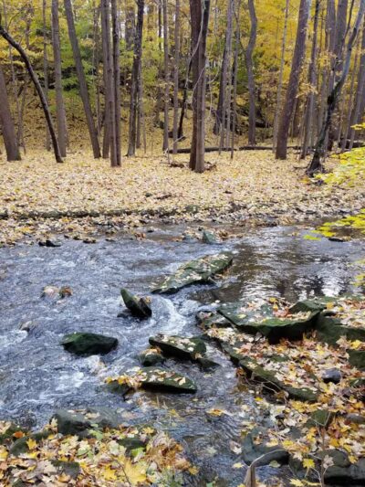 Commons Park - Parma Heights, OH
