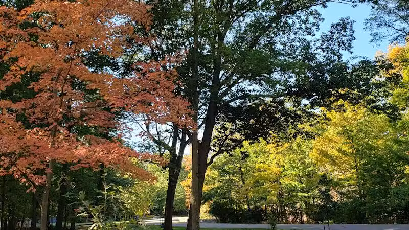 Creekside Shelter at Big Creek Reservation - Parma Heights, OH