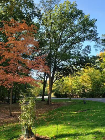 Creekside Shelter at Big Creek Reservation - Parma Heights, OH