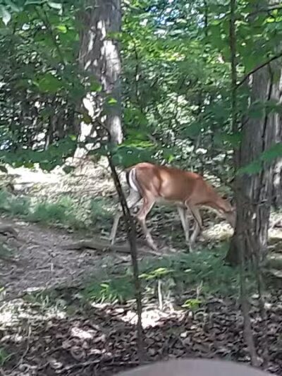 Creekside Shelter at Big Creek Reservation - Parma Heights, OH