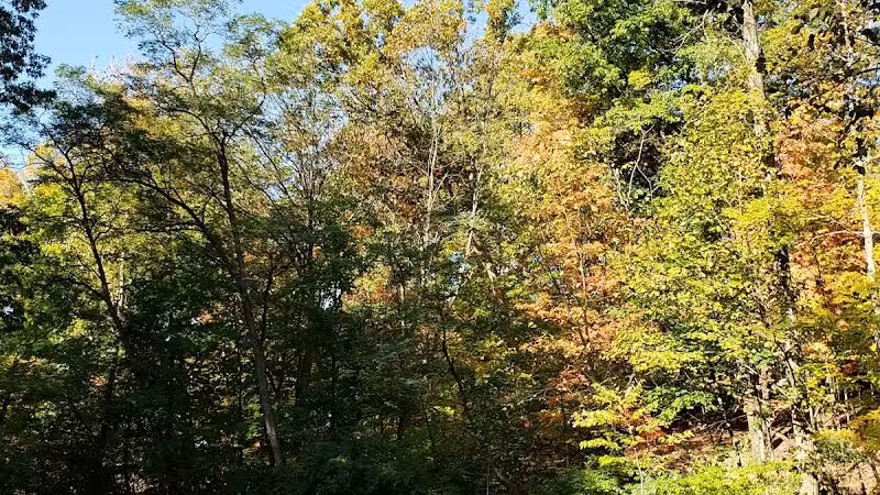 Creekside Shelter at Big Creek Reservation - Parma Heights, OH