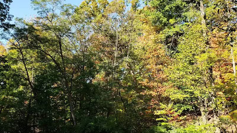 Creekside Shelter at Big Creek Reservation - Parma Heights, OH