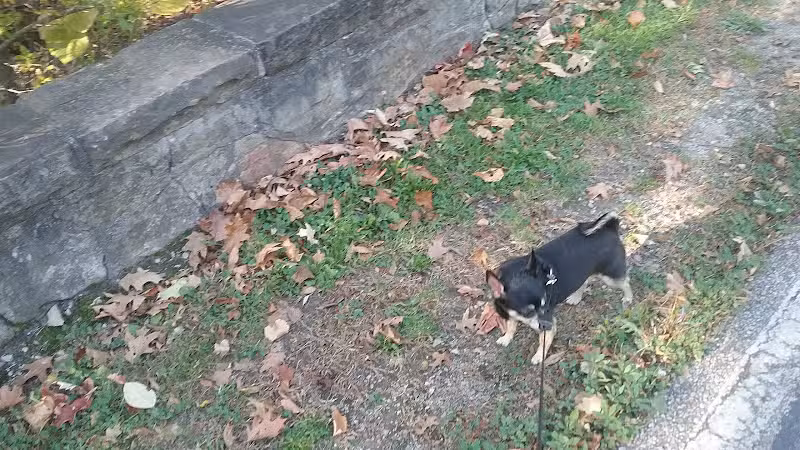 Creekside Shelter at Big Creek Reservation - Parma Heights, OH