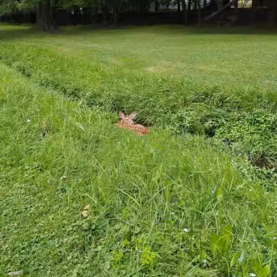 Radlick Park - Parma Heights, OH